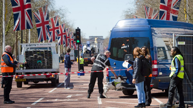 LONDON, United Kingdom - A handler works with an explosive-detecting dog on The Mall in central London on April 20, 2013, on the eve of the London Marathon. A beefed-up police presence for the London Marathon on April 21 will remain in place despite the death and capture of the Boston Marathon bombing suspects, Scotland Yard said. London's Metropolitan Police is putting in place hundreds more officers along the route compared with last year and search dogs to reinforce security, in a bid to reassure the 36,000 runners and tens of thousands of spectators. AFP/Leon Neal