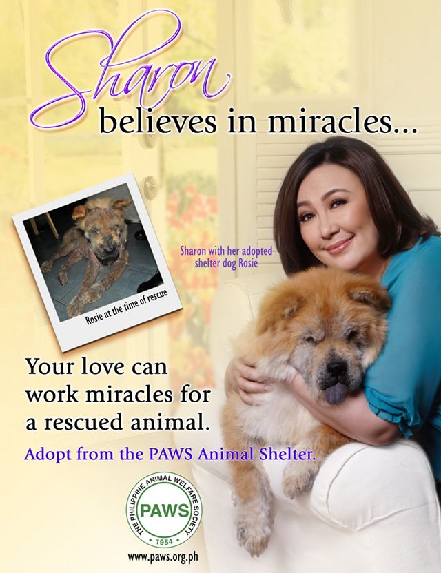 ROSIE TODAY. Sharon Cuneta and Rosie in one of the PAWS posters featuring the Megastar