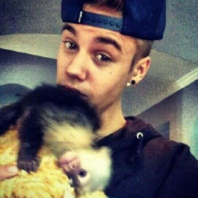 GERMAN MONKEY. Mally, Bieber's pet monkey has been claimed by Germany. Photo from the 'Justin and Mally Bieber' Facebook page
