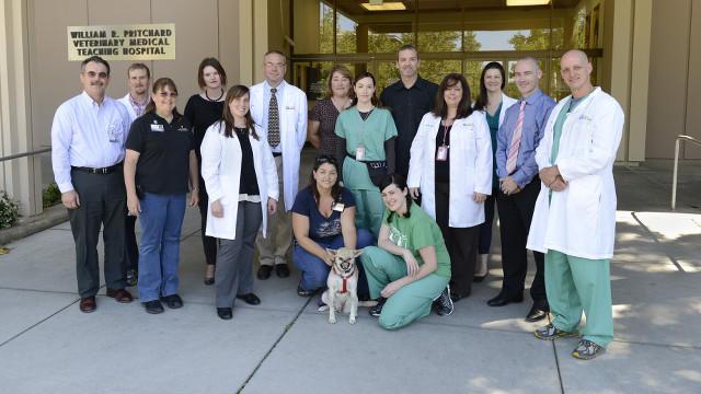 TEAMWORK. The veterinarians and surgeons of UC Davis pose with Kabang