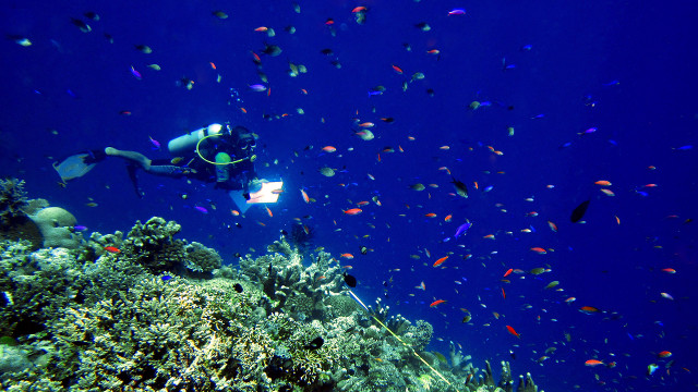 COUNTING FISH. Segundo 'Seconds' Conales keeps tabs on the fish in Tubbataha