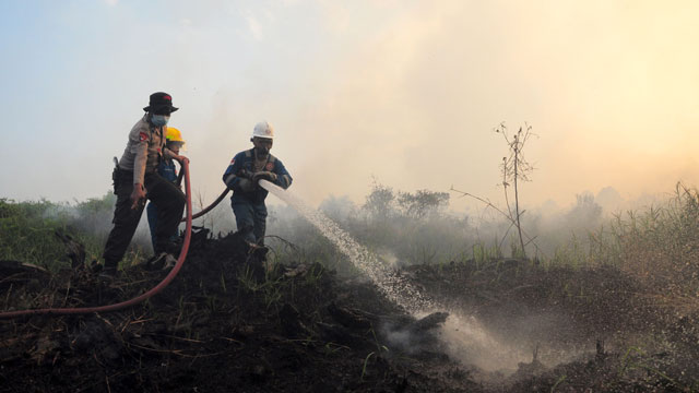 FIGHTING FIRE. Indonesian firefighters and police officers spray water on a burning peatland area in Rokan Hilir, Riau province, Indonesia, 21 June 2013. Photo by Amriyadi Bahar/EPA	