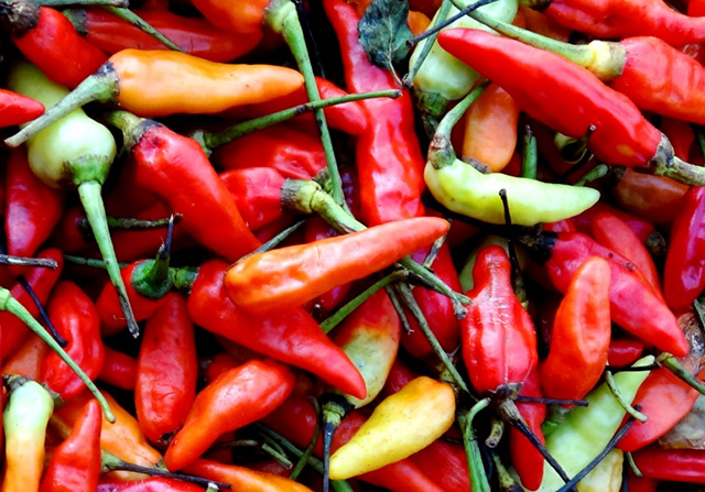 SPICE AND NICE. The heat of chili pepper helps break down mucus in the respiratory tract