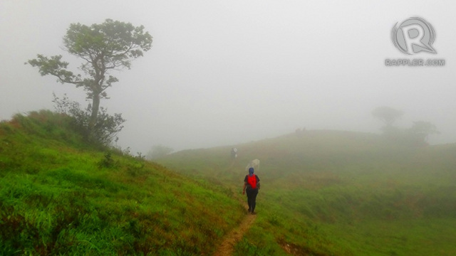 GREEN AND MIST. Rain makes the green stand out at Gulugod Baboy more, and the mist lends a mysterious effect