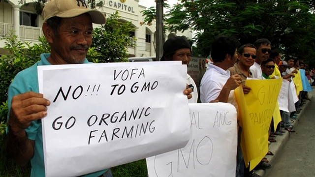 ORGANIC ALTERNATIVES. Farmers in Mindoro seek to keep their province free of GMOs. Photo from Greenpeace