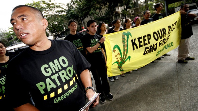 NO TO GMO. Daniel Ocampo of Greenpeace campaigns against field-testing of GMO crops in the Philippines. Photo from Greenpeace