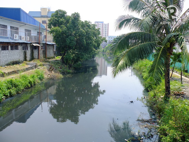 ESTERO CLEAN-UP. One of the cleaner esteros in Paco, Manila benefits from monthly clean-ups