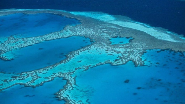 ENDANGERED WORLD WONDER. The Great Barrier Reef may find itself in the UNESCO list of endangered world heritage sites. Photo courtesy of the Great Barrier Reef Marine Park