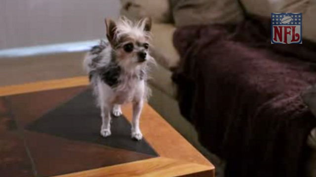 PUPPY GOT DORITO. Watch this pup give new meaning to 'barenaked' in the ad below. Screen grab from YouTube (SuperBowlAd2013)