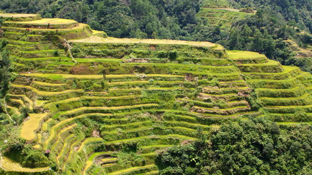 HERITAGE TREASURE. The historic Ifugao rice terraces will get a little help from green technology