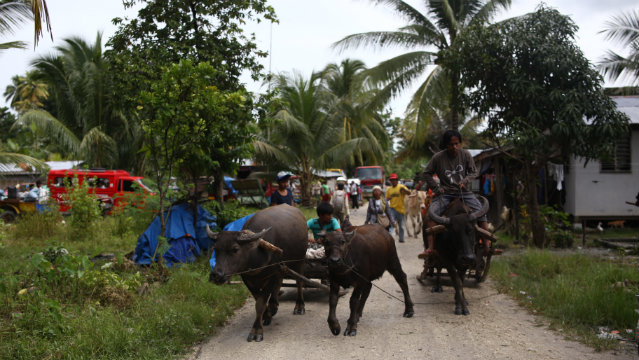 EVACUATED. Around 2,000 residents from 3 villages in the towns of Aleosan and Pikit left their houses as BIFF rebels arrived in the area. Photo by Ferdh Cabrera