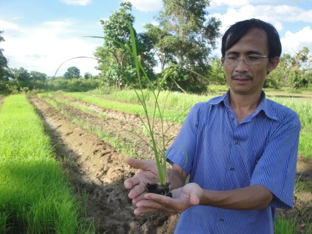 DR. KOMA inspecting a rice field in Cambodia. Photo courtesy of CEDAC