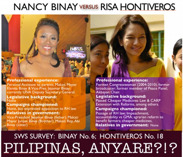 FACE OFF. Former Akbayan Rep Risa Hontiveros' qualifications is compared to the vice president's daughter Nancy Binay in a meme that has made the rounds on the Internet. Photo from Facebook