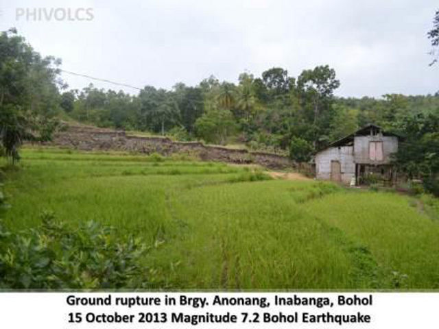 GROUND RUPTURE. The rocky wall from the quake is clearly visible in Bohol. Photo from PHIVOLCS website