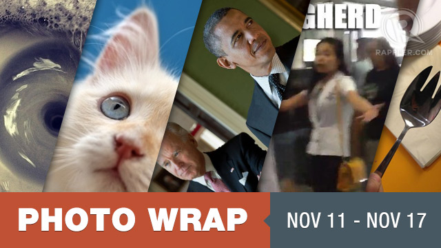 Photo wRap for November 11-17, 2012