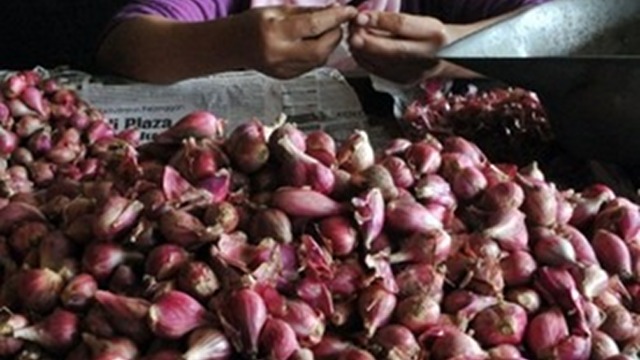 SUPPLY. Filipinos consume an average of 7,000 to 8,000 metric tons (MT) of mixed red and white onions in a month. Photo by AFP
