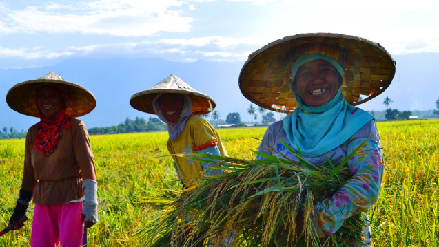 RURAL WOMEN. Women farmers from the Sultan Kudarat province in Southern Philippines pose for the camera. Photo by Dante Dalabajan