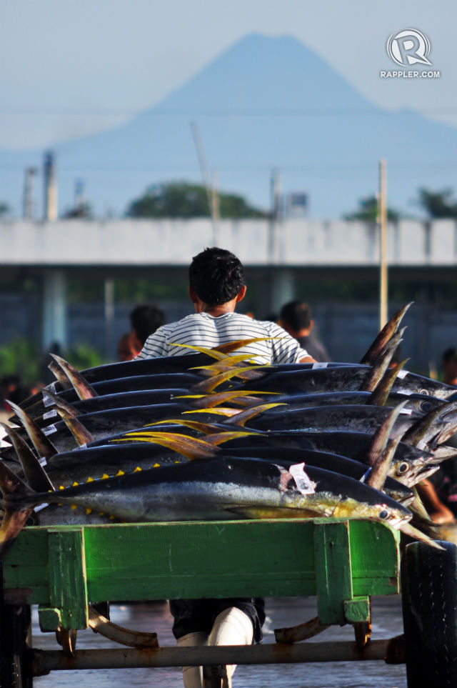 TUNA CAPITAL. The southern city of General Santos produces arguably the freshest tuna from its waters