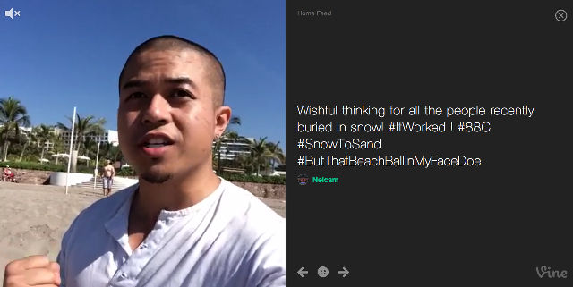 TV MODE. TV mode switches the layout of Vine on the Web for better viewing. Screen shot from Vine