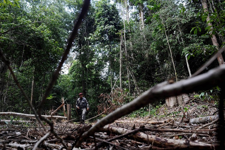 A member of the Public Security National Force --a national police elite unit-- walks through on the Amazonic forest reserve of Trairao, west of Para state, northern Brazil, looking for illegal deforestation places, on December 4, 2011. File photo by Lunae Parracho/AFP
