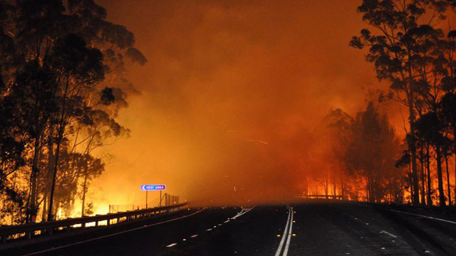 This handout picture taken late on January 8, 2013 and provided by New South Wales Rural Fire Service (NSW Rural Fire Service) on January 9, 2013 shows trees burning and smoke billowing from a fire along the Princes Highway at Deans Gap in the Shoalhaven area in New South Wales. AFP PHOTO / NSW Rural Fire Service