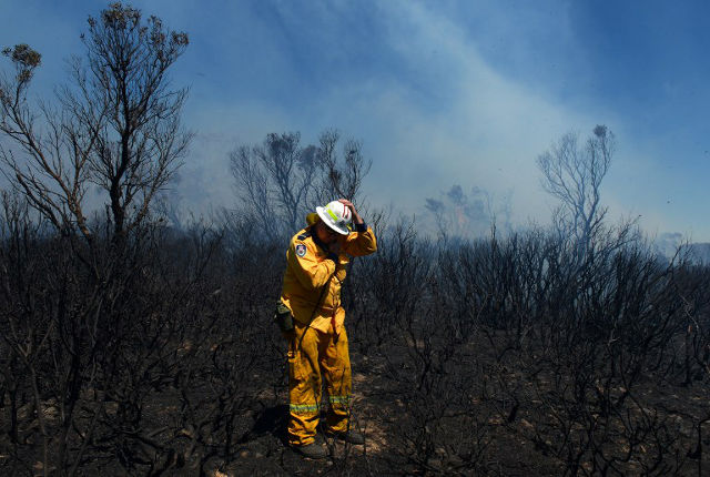 BLAZES. A volunteer firefighter holds onto his helmet as he surveys the damage in the Mt. York fire area on October 23, 2013. AFP PHOTO/William WEST
