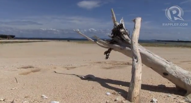 DRIFTWOOD FROM THE PACIFIC Ocean find a new home in Balesin