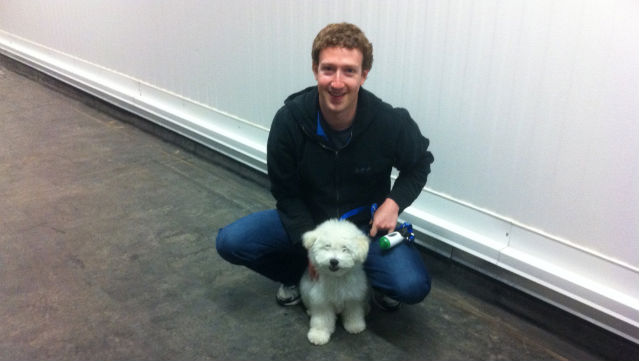 ADORABLE. Beast poses for a photo with his owner, Facebook CEO Mark Zuckerberg. Photo from Facebook