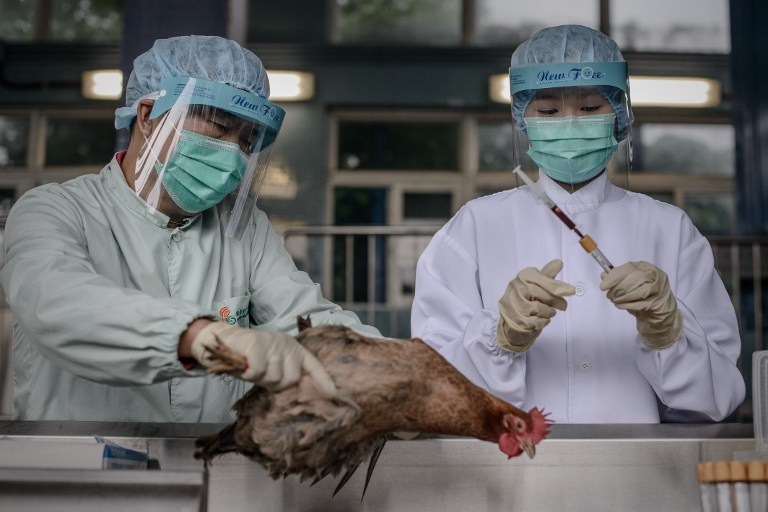 SAFETY CHECK. In this file picture taken on April 11, 2013 officials test poultry at the border with mainland China in Hong Kong as part of measures against the spread of the deadly H7N9 bird flu. AFP/Philippe Lopez