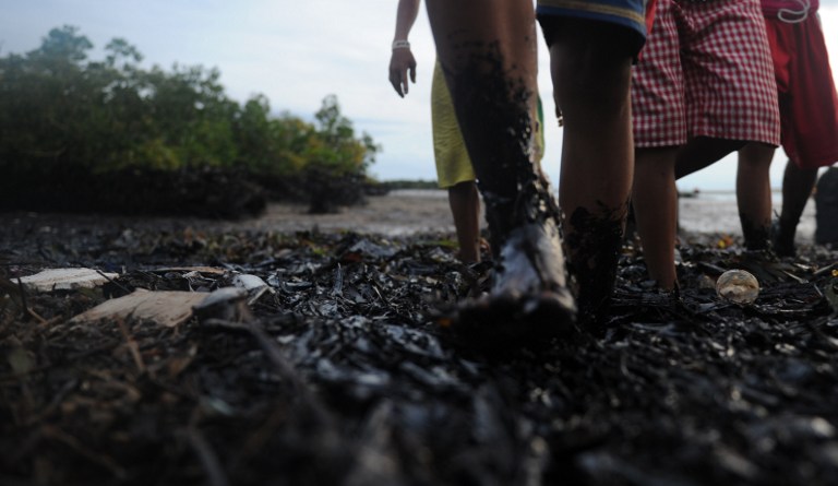 ANOTHER DISASTER. Residents walk through a mangrove area affected by an oil slick near the site of a ferry and freighter collision in Cordoba, Cebu, on August 18, 2013. Photo by AFP/Ted Aljibe