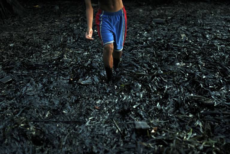 OIL-COATED MANGROVES. A resident walks through a mangrove area affected by an oil slick near the site of a ferry and freighter collision in Cordoba town near Cebu City, August 18, 2013. Photo by AFP/Ted Aljibe