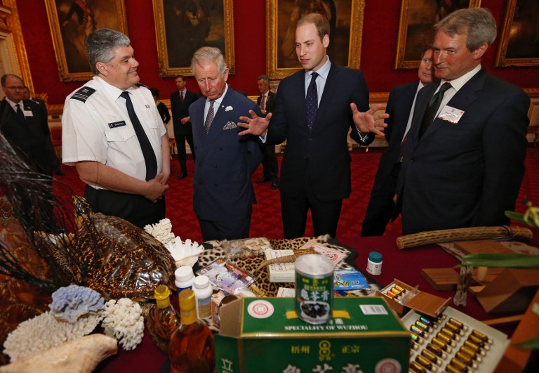 SAVE THE ANIMALS. Britain's Prince Charles, Prince of Wales (2L), his son Prince William, Duke of Cambridge (3L) and British Environment Secretary Owen Paterson (R) are shown items made from endangered animals, which were confiscated by customs officers, during a conference on the illegal wildlife trade at Clarence House in central London on May 21, 2013. AFP PHOTO / POOL / ANDREW WINNING 