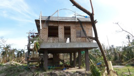 SURVIVOR. The Climate Change house after Typhoon Yolanda. Image courtesy Tony Oposa Jr