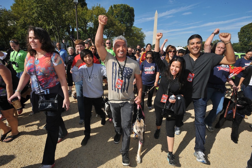 PACK WALK. TV host and animal trainer Cesar Millan (center), known to audiences as the "Dog Whisperer," leads the "Pack Walk" in Washington DC on September 29, 2012. Photo courtesy of the Cesar Millan Foundation official page on Facebook.