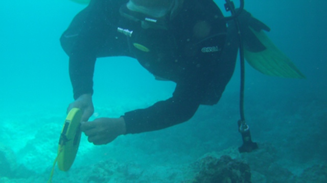 DAMAGE ASSESSMENT. A Philippine Coast Guard diver inspects the coral damage near the ships's hull. Photo courtesy of PCG