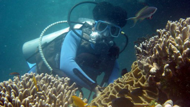 UNDERSEA ADVENTURE. Diving is one of the most popular activities that tourists enjoy in the Philippines. Photo by AFP.