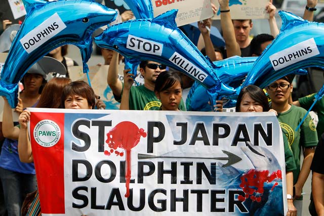 Animal rights activists demonstrate in front of the Japanese embassy urging Japan to end its sanctioned slaughter of dolphins in Taiji. Photo by EPA/Francis Malasig