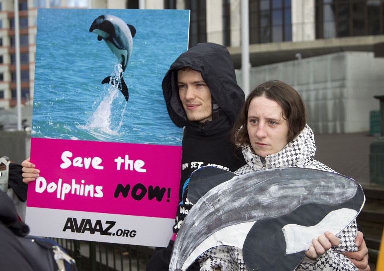 'SAVE THE DOLPHINS' Campaigners attend a protest to protect the critically endangered Maui's dolphin, in front of Parliament House in Wellington on May 2, 2012. AFP PHOTO / Marty MELVILLE