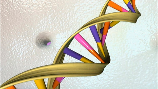 GENE THERAPY. This undated handout illustration shows the DNA double helix. AFP PHOTO