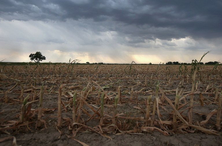 Rain clouds move over the remnants of parched corn stalks on August 22, 2012 near Wiley, on the plains of eastern Colorado. John Moore/Getty Images/AFP