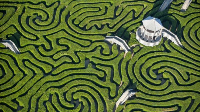 LONGLEAT MAZE. This giant maze amazes. Photo from www.longleat.co.uk