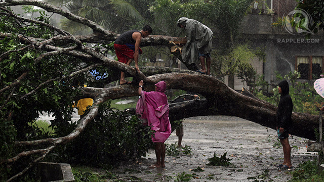 TRAIL OF DESTRUCTION. Residents try to clear a fallen tree from a road in Tagum, Davao del Norte. Photo by Patricia Evangelista