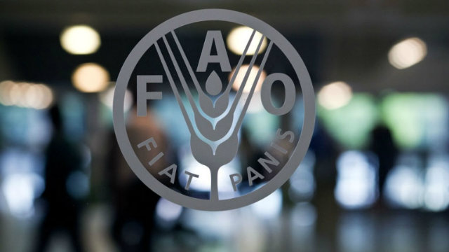 FOOD SECURITY. The Food and Agriculture Organization aims to help achieve food security for all. Photo taken from the United Nations website