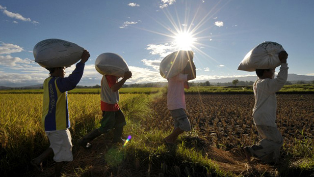 FOOD SECURITY. Poverty incidence may continue to rise if government does not address the issue of food security in the Philippines. File Photo by Jay Directo/AFP