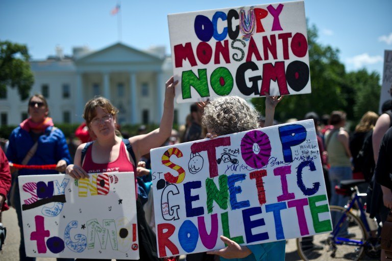 AGAINST GMOS. Photo dated May 25, 2013 shows a demonstration against agribusiness giant Monsanto and genetically modified organisms (GMO) in front of the White House in Washington. Nicholas Kamm/AFP/Files