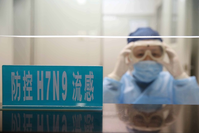 H7N9 PREPS. A staff adjusts her eyeglasses at a clinic desk for H7N9 bird flu in a hospital in Shanghai, China, 08 April 2013. Photo by EPA/Ray Young