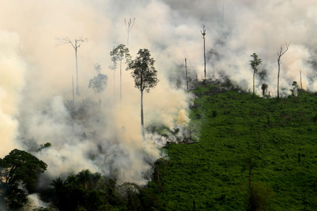 BURNING FORESTS. An aerial photo shows thick smoke rising from burning peat land in Meranti, Riau province, Indonesia, in March 2014. Photo by Azwar/EPA 