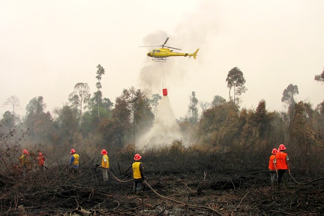 BATTLING THE FIRES. A picture made available on 26 June 2013 shows a helicopter drop water on burning peatland as firefighters from the Arara Abadi Sinarmas Forestry company extinguish the fire in Siak, Riau province Indonesia, 24 June 2013. Photo by EPA/Reno Alam