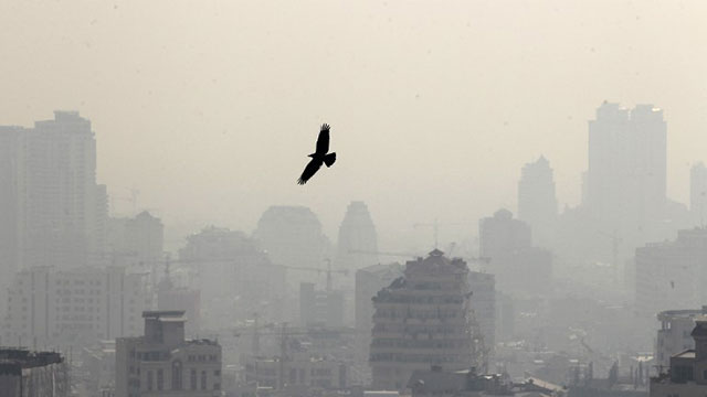 SMOG. A bird is pictured flying in front of buildings in the polluted skyline of the Iranian capital Tehran. File photo by AFP/Atta Kenare
