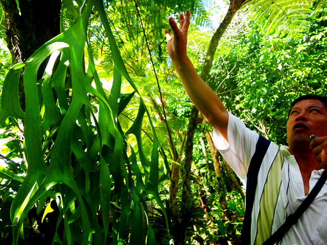 Tatay Ete explaining the benefits of trees and plants at Liptong